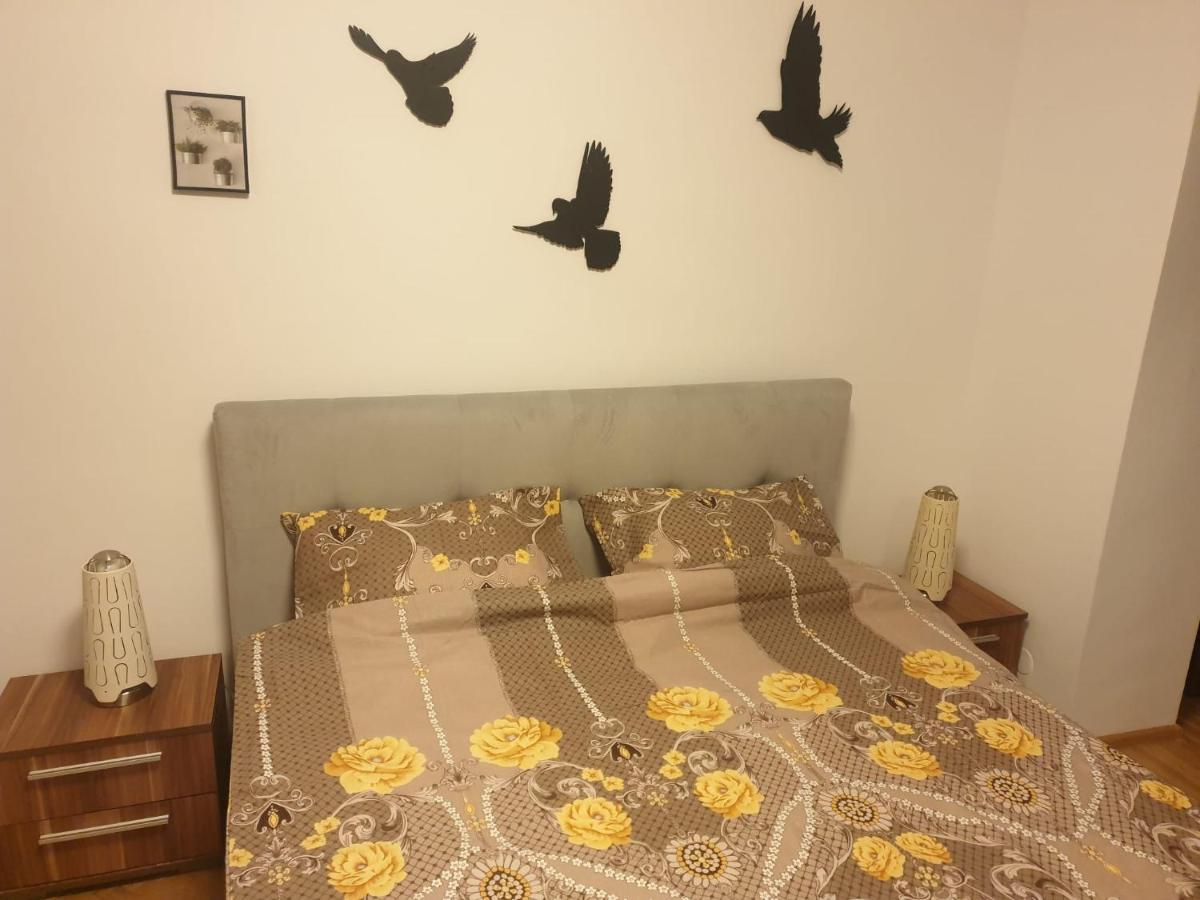 Lucky Residence II 브라쇼브 외부 사진